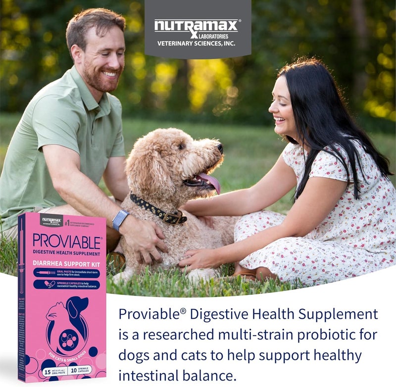 Nutramax Laboratories Nutramax Proviable Digestive Health Supplement Kit with Multi-Strain Probiotics and Prebiotics for Cats and Small Dogs, With 7-Strains of Bacteria, 15 mL Paste and 10 Capsules - Image 3