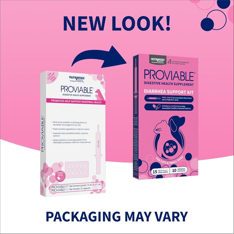 Nutramax Laboratories Nutramax Proviable Digestive Health Supplement Kit with Multi-Strain Probiotics and Prebiotics for Cats and Small Dogs, With 7-Strains of Bacteria, 15 mL Paste and 10 Capsules - Image 2