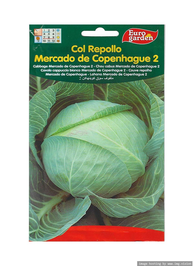 Euro Garden Euro Garden Cabbage Mercodo De Copenhague 2 Premium Quality Seeds 