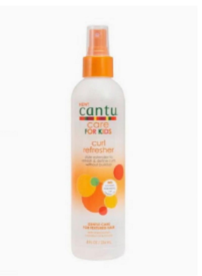 Cantu Curl Refresher - Image 1