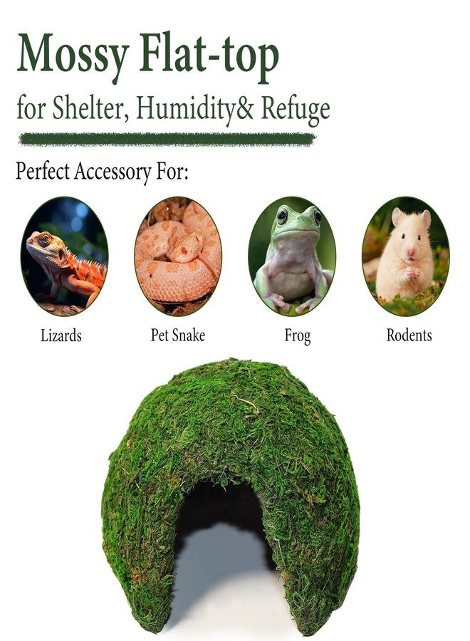 Hollima Reptile Moss Hideout, Half Round Reptile Cave for Hiding, Moss-Covered Shelter to Ensure The Safety and Comfort of Reptiles for Lizards Snakes Frogs and Rodents - Image 5