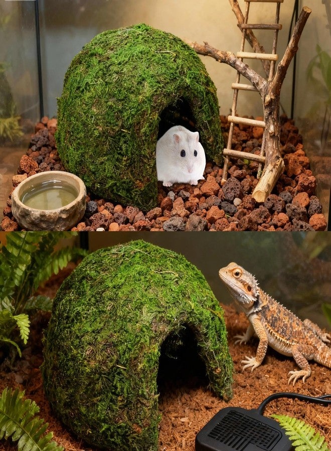 Hollima Reptile Moss Hideout, Half Round Reptile Cave for Hiding, Moss-Covered Shelter to Ensure The Safety and Comfort of Reptiles for Lizards Snakes Frogs and Rodents - Image 4