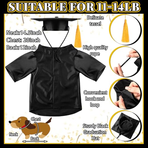 Bunnycool Dog Graduation Cap and Gown 2026 Washable Pet Graduation Costume for Dog Cat Shirt and Hat(Traditional,M,Black) - Image 2