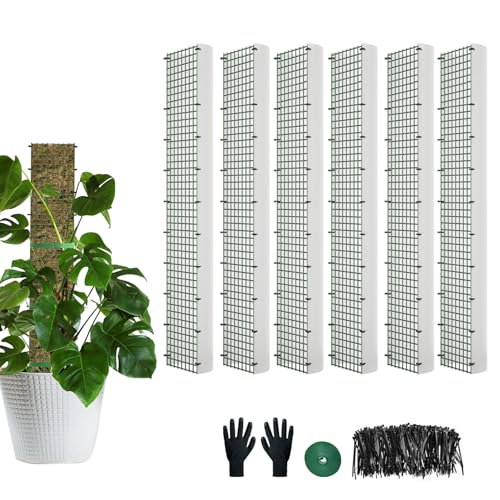 HOLANHING 60"/40"/24" Metal Moss Pole, D Shape Sphagnum Moss Pole, Moss Poles for Climbing Plants, Monstera, Indoor Climbing Plants (4Pcs 24") - Image 1