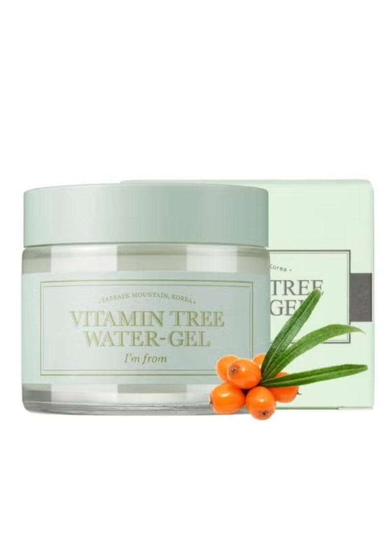 I'M FROM M] Vitamin Tree Water Gel 75G Vitamin C B3 Vitamin Water 68% Niacinamide Cool Sensation Moistuizing Organic Moisturizer - Image 1