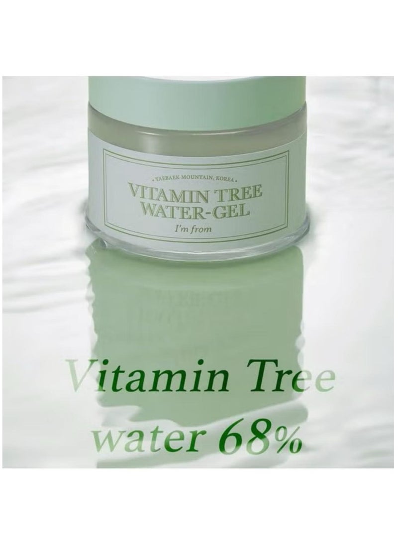 I'M FROM M] Vitamin Tree Water Gel 75G Vitamin C B3 Vitamin Water 68% Niacinamide Cool Sensation Moistuizing Organic Moisturizer - Image 2