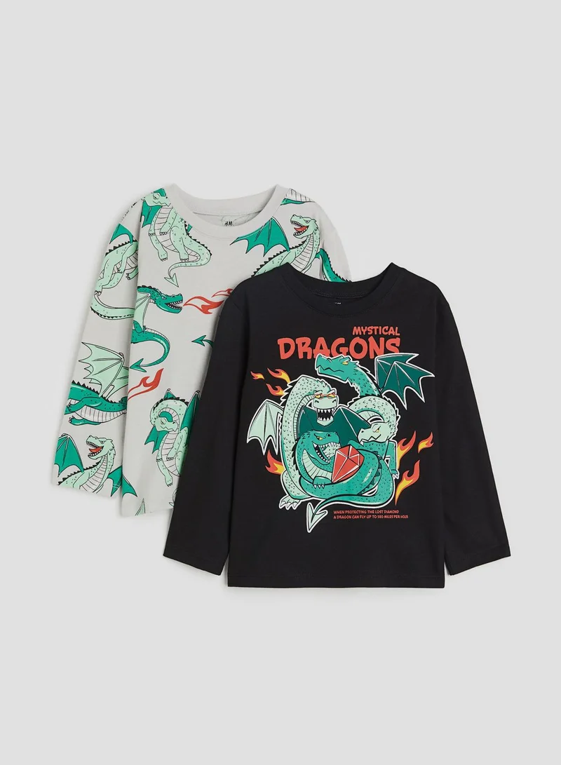 H&M Kids 2 Pack Assorted T-Shirts