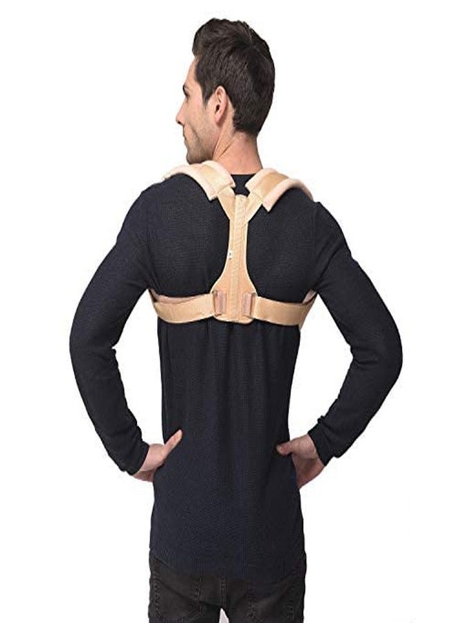 SpiffySky Shoulder and Back Support Belt for Men & Women (Waist Size (32-37 Inches)) - Image 1