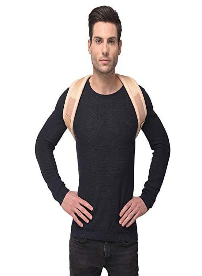 SpiffySky Shoulder and Back Support Belt for Men & Women (Waist Size (32-37 Inches)) - Image 3