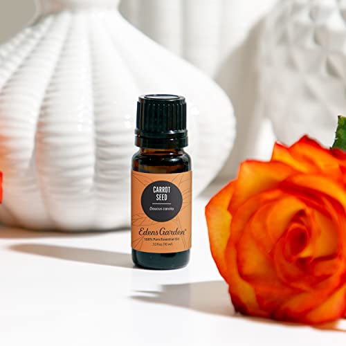 Edens Garden Carrot Seed Essential Oil- 100% Pure Premium Grade, Undiluted, Natural, Therapeutic, Aromatherapy, The Best for Diffuser, Skin, Face, Kid Safe 10 ml (.33 fl oz) - Image 2