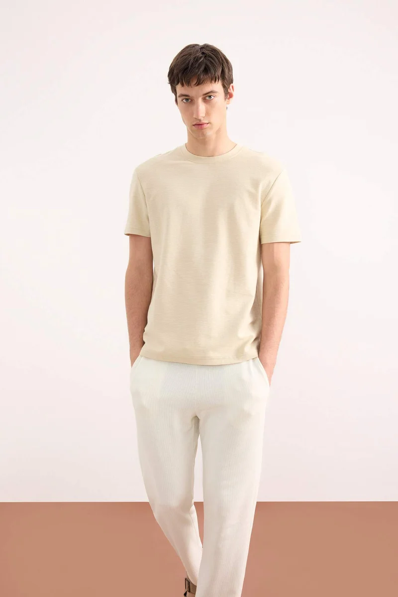DeFacto Regular Fit Crew Neck Twill Short Sleeve T-Shirt