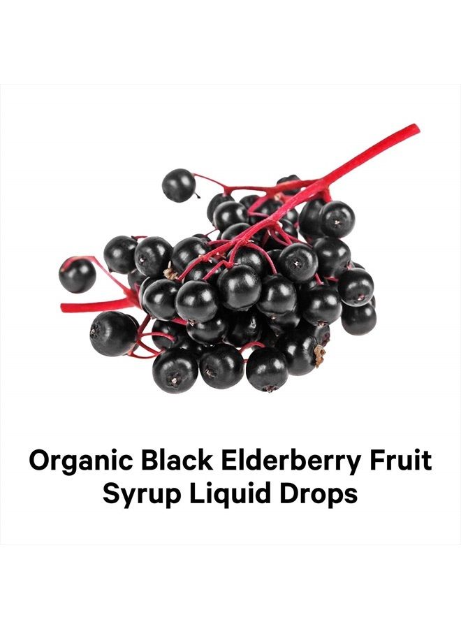 Codeage Black Elderberry Syrup, Vitamin C, Vitamin D, Zinc, Black Currant - Black Sambucus Liquid Drops Supplement for Kids & Adults – Elderberries Juice - Flavonoid, Vegan – 2-Month Supply – 4 fl oz - Image 3