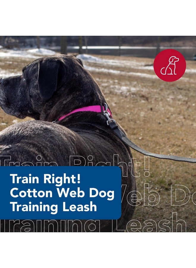 Coastal - Train Right - Cotton Web Dog Training Leash, Red, 5/8" x 15' - Image 2