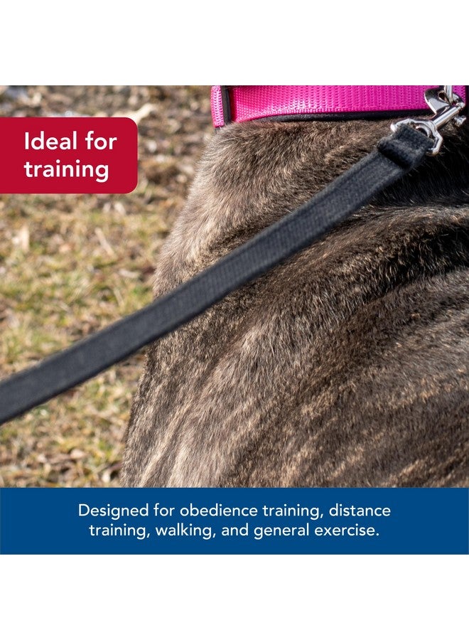 Coastal - Train Right - Cotton Web Dog Training Leash, Red, 5/8" x 15' - Image 3