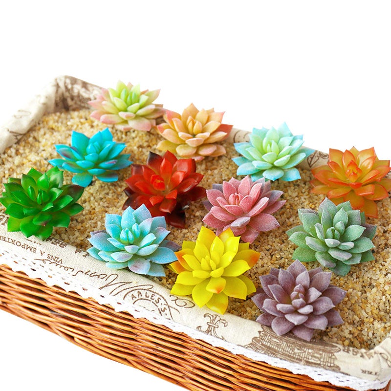 Cayway Cayway 20 PCS Artificial Succulent Plants Assorted Multicolor Faux Fake Succulents  Cactus Aloe Succulent Assortment in Flocked in Different Type for Birthday Home Decor Indoor Garden DIY  - Image 4