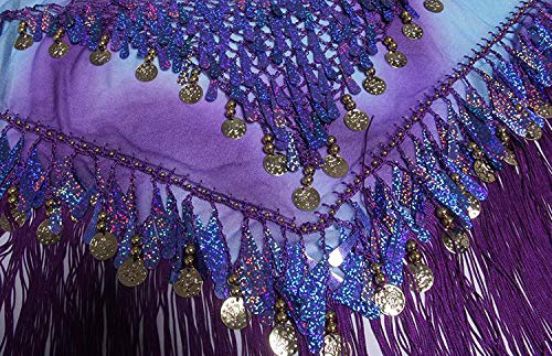 Lauthen.S Belly Dance Hip Scarf with Tassels Sequins, Triangle Coins Wrap Skirt Music Festival Clothing Purle - Image 5