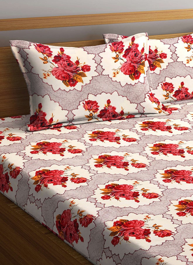 Arrabi Cream Floral Cotton 300 TC King Fine Bedsheet with 2 Pillow Covers - 100 x 87 inches - Image 3