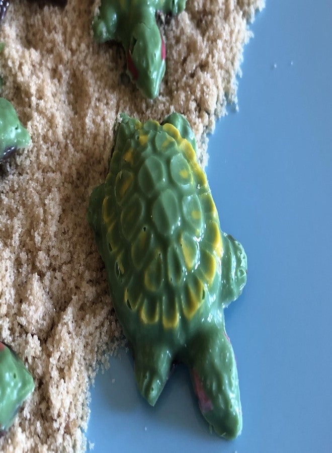 CANDISLE Turtle Chocolate Candy Mold - Image 5