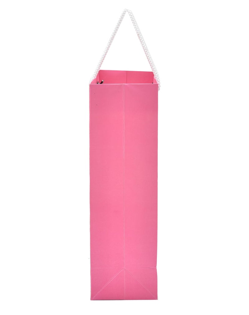 PPJ ® -HAPPY BIRTHDAY DESERT THEME PARTY (30 Pcs.) PAPER CARRY BAG, 10 Inch X 12 Inch X 4 Inch RETURN GIFT/HAPPY BIRTHDAY/RETURN GIFTS/GIFTS/GIFT BAGS/GIFT COVERS (Pack of 30) - Image 5