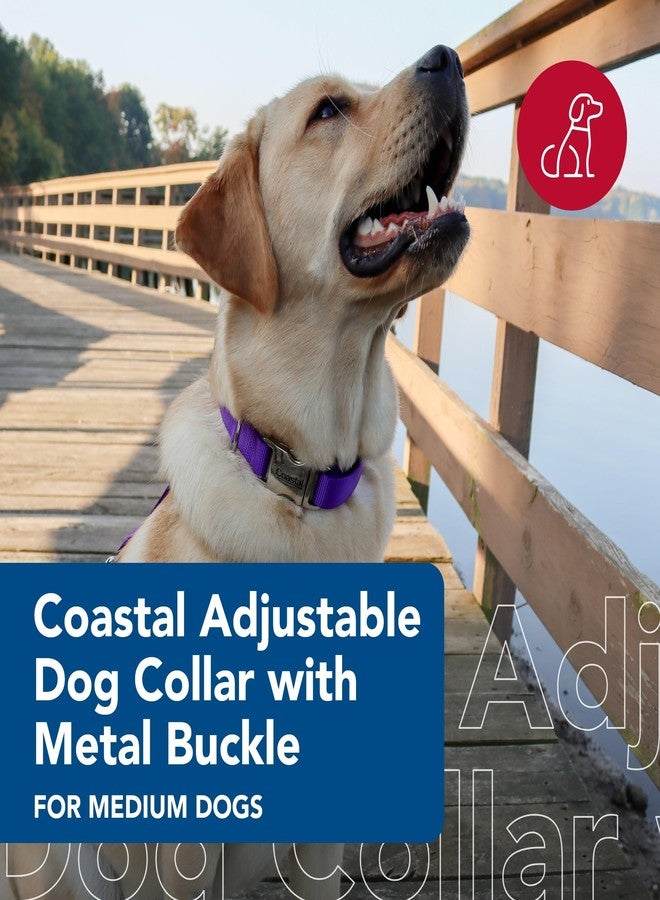Coastal Pet Adjustable Dog Collar with Metal Buckle - Comfortable Fade-Resistant Dog Collar with Snap Lock - Perfect for Walking & Tie Outs - Purple - 5/8" x 10"-14" - Image 2