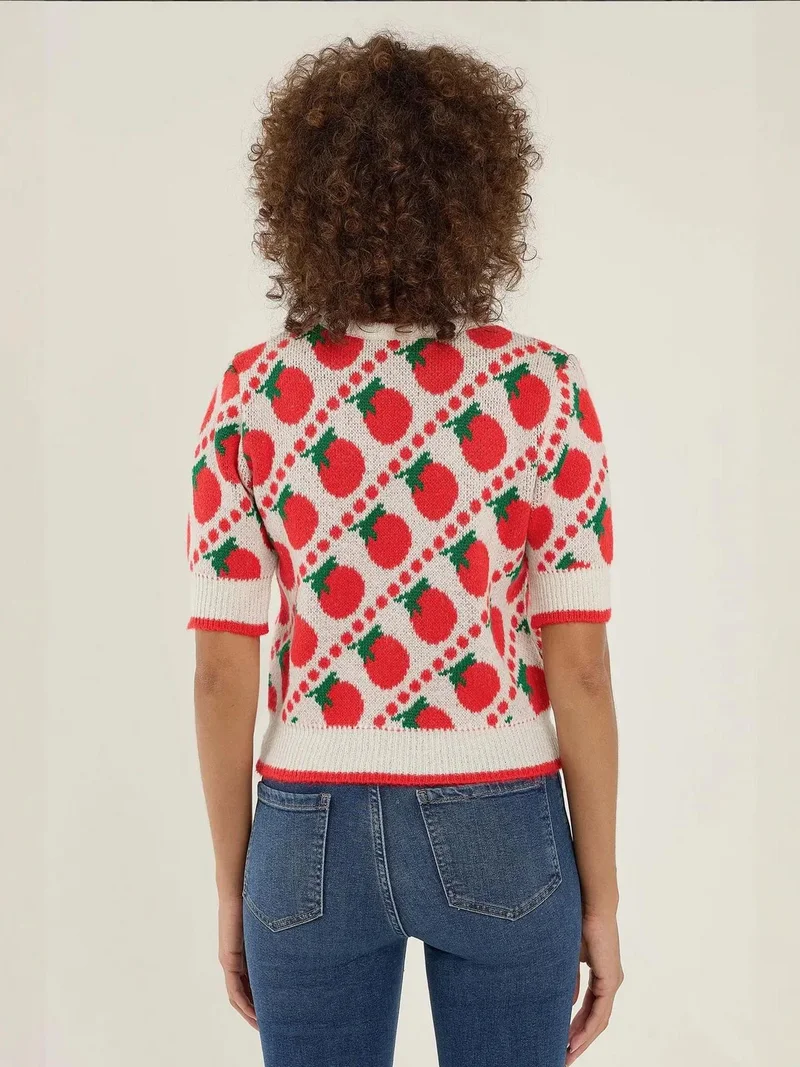 Hiccup Red Patterned Short Sleeve Knit Sweater for Women | Best Price UAE