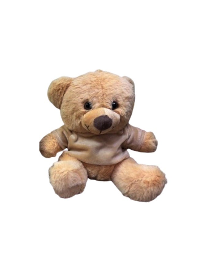 Valentine's Day Soft Plush Teddy Bear 26 cm - pzsku/Z91C8E992BF65ABA1480BZ/45/_/1737631522/02f6abd4-4beb-45da-b13a-68262c83a8fd