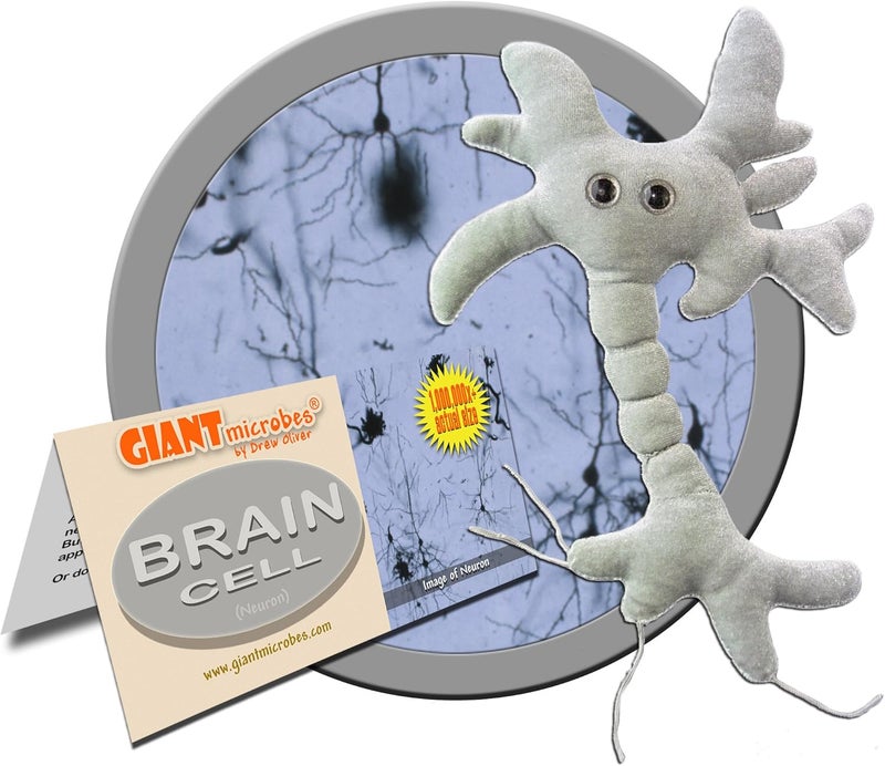 Giant Microbes Brain Cell (Neuron) Plush Toy - Educational and Cuddly - Image 2