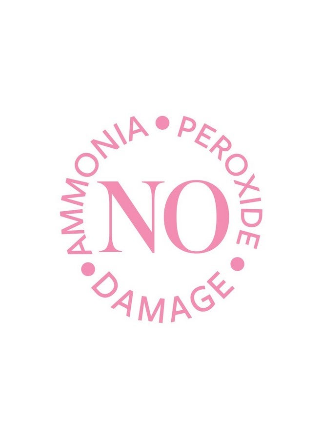 Roux Fancifull Instant Hair Color 21 Plush Brown 15.2 Fl Oz - Image 3