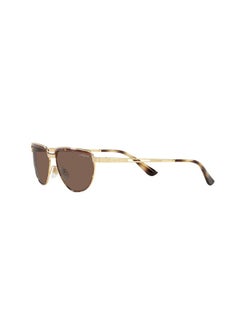 Woman Sunglasses Top Havana/Gold Frame, Dark Brown Lenses, 56Mm - pzsku/Z91CE45217776A8A1389CZ/45/_/1735817484/ef112144-9eca-4093-873a-b33b10eecd53