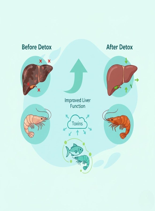WD DE TOX LIV-Master مقوي الكبد للأسماك والروبيان - يعزز صحة الكبد، ويحسن الهضم والمناعة | مكمل غذائي لصحة الحيوانات الأليفة في أحواض تربية الأحياء المائية، وأنظمة التخثر الحيوي، وأنظمة إعادة تدوير المياه (1 لتر) - Image 3