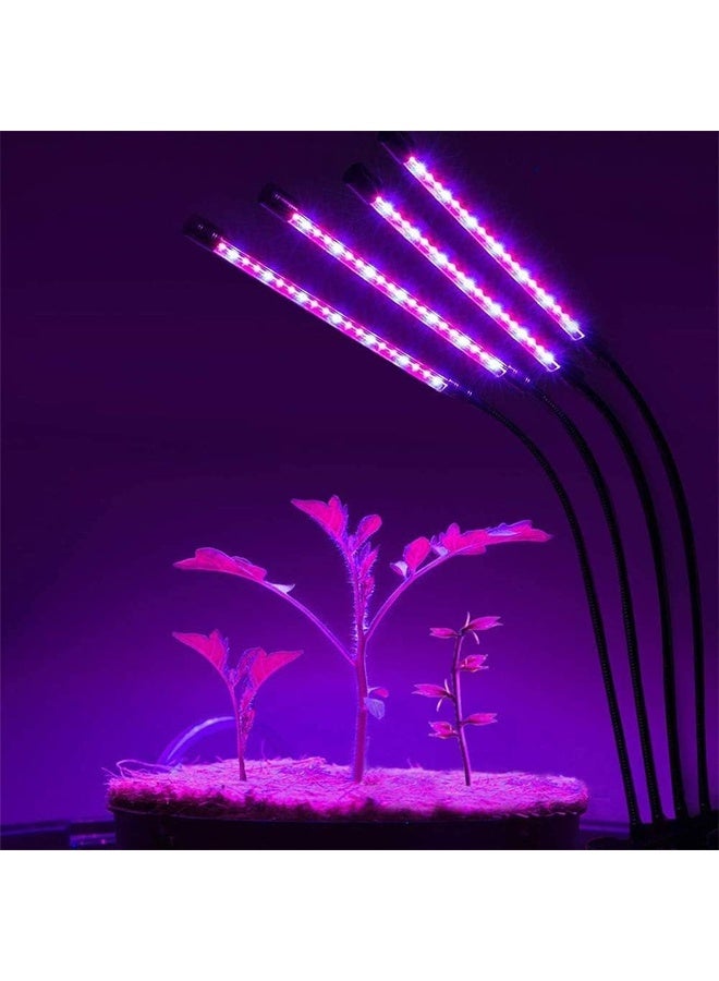 DUNISO Grow Light for Indoor Plants,4 Head 80 LED Plant Grow Lights with Red Blue Spectrum,9 Dimmable Levels, 3 9 12H Timer, Adjustable Gooseneck, 3 Switch Modes  - Image 2