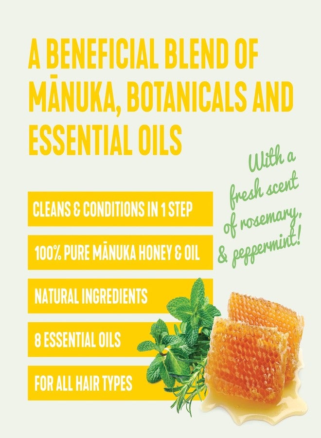 One Tree Hill Manuka 2n1 Conditioning Shampoo | Manuka Honey & Essential Oil Blend | 9 Fl Oz - Image 2