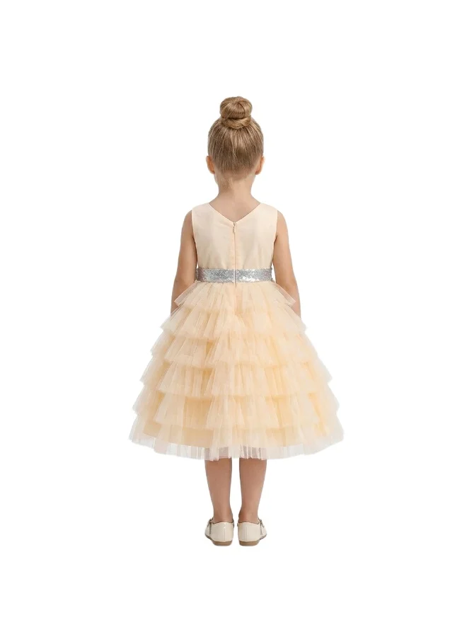 Bidani  Champagne Criss Cross Pleated Tulle Dress for Women | Best Price UAE