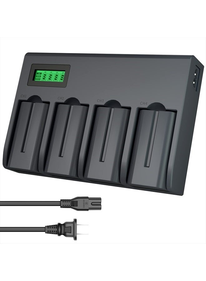 LP NP-F550 Battery Charger Pack, LP 4-Pack Battery & Quadruple Slot Charger, Compatible with Sony NP F970, F960, F770, F750, F570, F550, F530, F330, CCD-SC55, TR910, TR917, CN160, CN-216 LED Light & More - Image 1