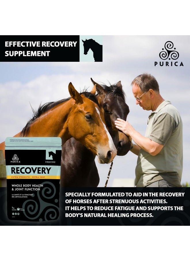 Purica Equine Hyaluronic Acid  Horse Joint Support Supplement With Glucosamine, Msm Powder, Betaine, Magnesium, Vitamin C And E  Green Tea And Grape Seed Extract  Horse Supplies And Treats  - Image 2