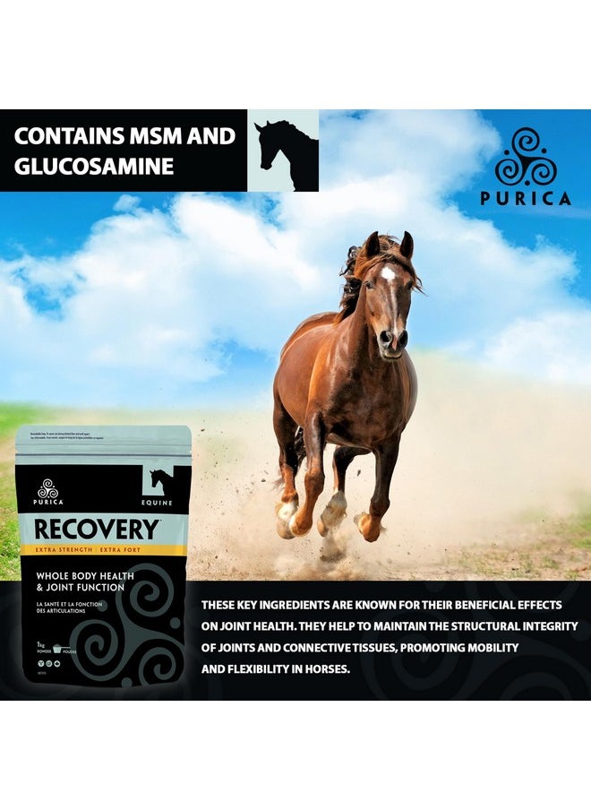 Purica Equine Hyaluronic Acid  Horse Joint Support Supplement With Glucosamine, Msm Powder, Betaine, Magnesium, Vitamin C And E  Green Tea And Grape Seed Extract  Horse Supplies And Treats  - Image 5