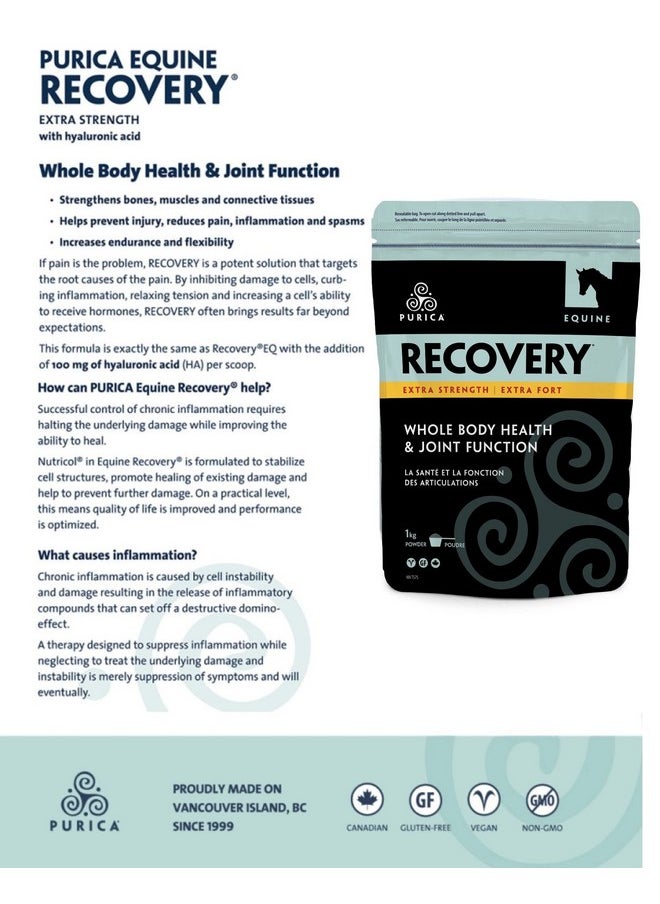 Purica Equine Hyaluronic Acid  Horse Joint Support Supplement With Glucosamine, Msm Powder, Betaine, Magnesium, Vitamin C And E  Green Tea And Grape Seed Extract  Horse Supplies And Treats  - Image 4