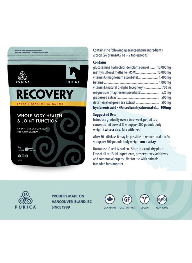 Purica Equine Hyaluronic Acid  Horse Joint Support Supplement With Glucosamine, Msm Powder, Betaine, Magnesium, Vitamin C And E  Green Tea And Grape Seed Extract  Horse Supplies And Treats  - Image 3