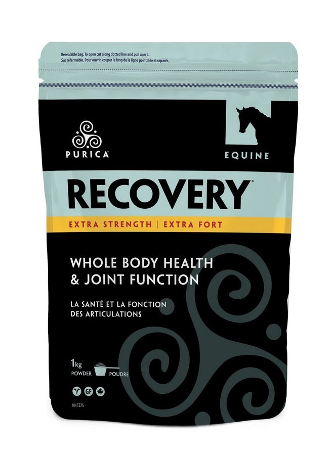 Purica Equine Hyaluronic Acid  Horse Joint Support Supplement With Glucosamine, Msm Powder, Betaine, Magnesium, Vitamin C And E  Green Tea And Grape Seed Extract  Horse Supplies And Treats  - Image 1