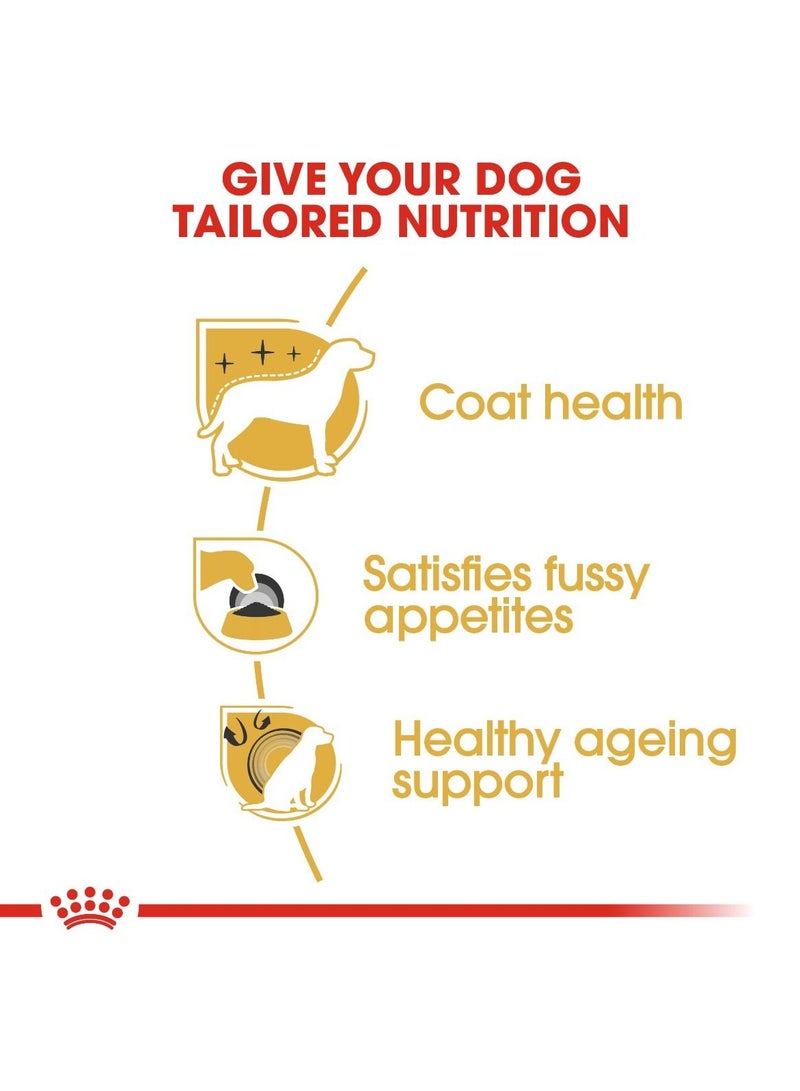 Royal Canin Breed Health Nutrition Yorkshire Puppy 1.5 KG - Image 4