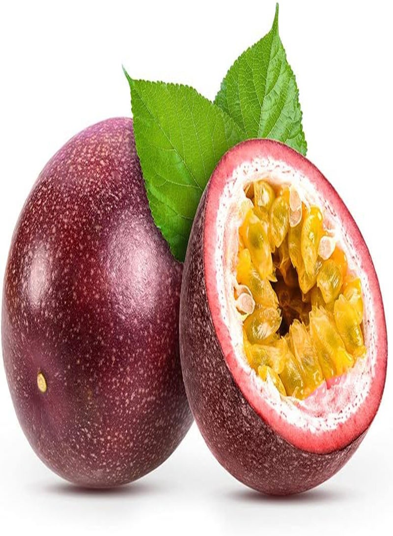 Passion Fruit Purple Granadilla Passiflora edulis 30 Seeds