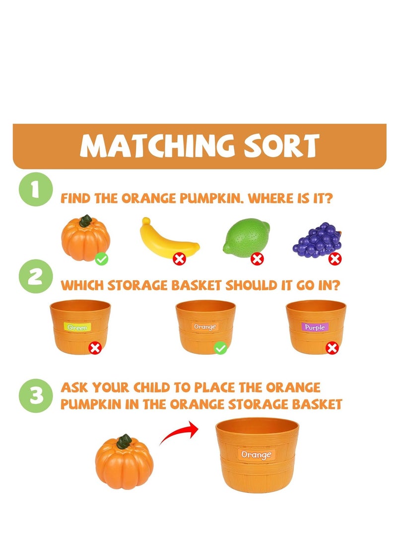 SYOSI Color Sorting Play Food Toy Set  30 Pieces Fruit and Vegetable Shapes Educational Daycare Learning Toy for Toddlers  Shape Color Recognition Sorter Kitchen Pretend Play Food Set for Kids  - Image 4