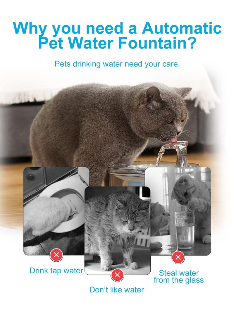 Zikra Stainless Steel Cat Water Dispenser 68oz/2L - Quiet Electric Pet Fountain with 3 Filters, Ideal for Cats and Puppies, Transparent Design for Clean Drinking Water. - Image 5