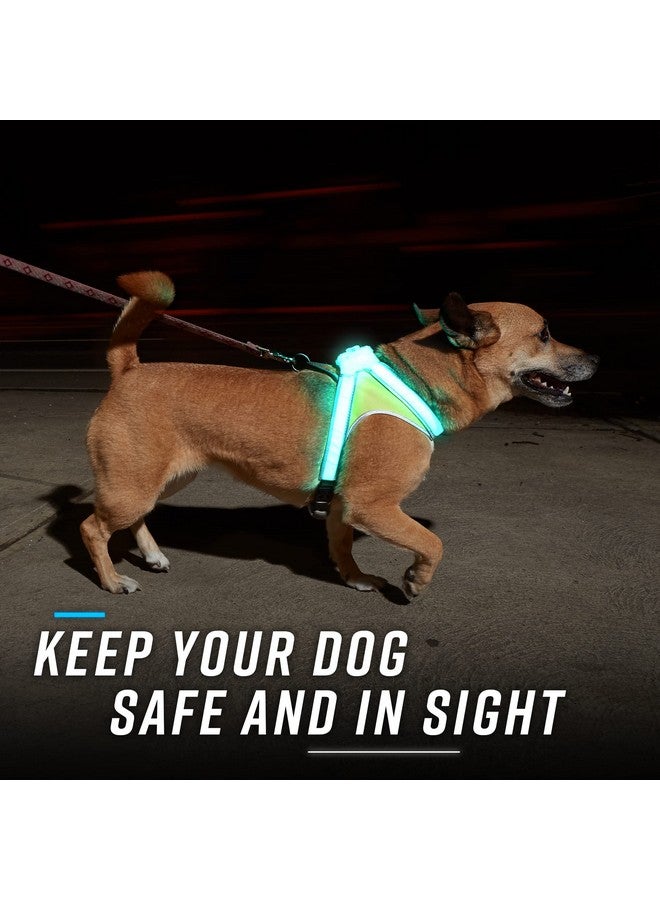 Noxgear LightHound - Multicolor LED Illuminated, Reflective Dog Harness (Medium) - Image 3