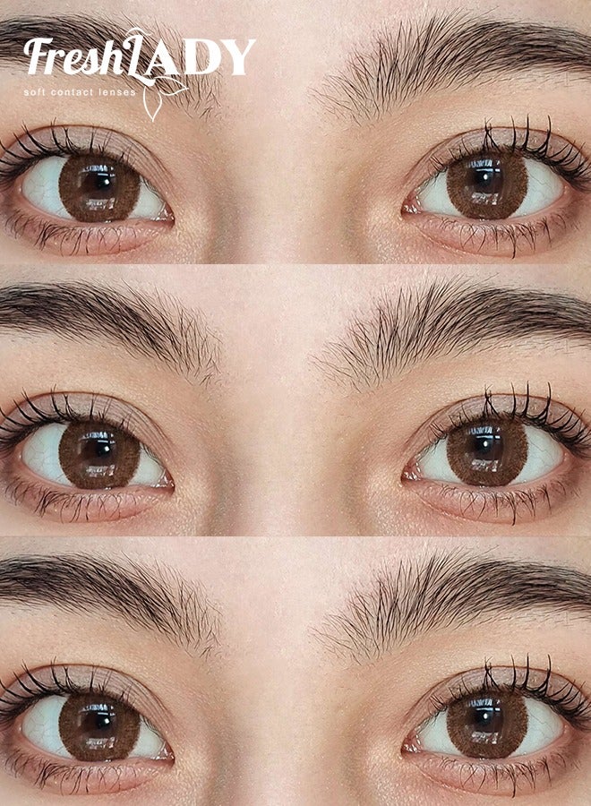 Freshlady Colored Contact Lenses Sepia 14.50mm Yearly Disposable for Daily Wear - Image 4