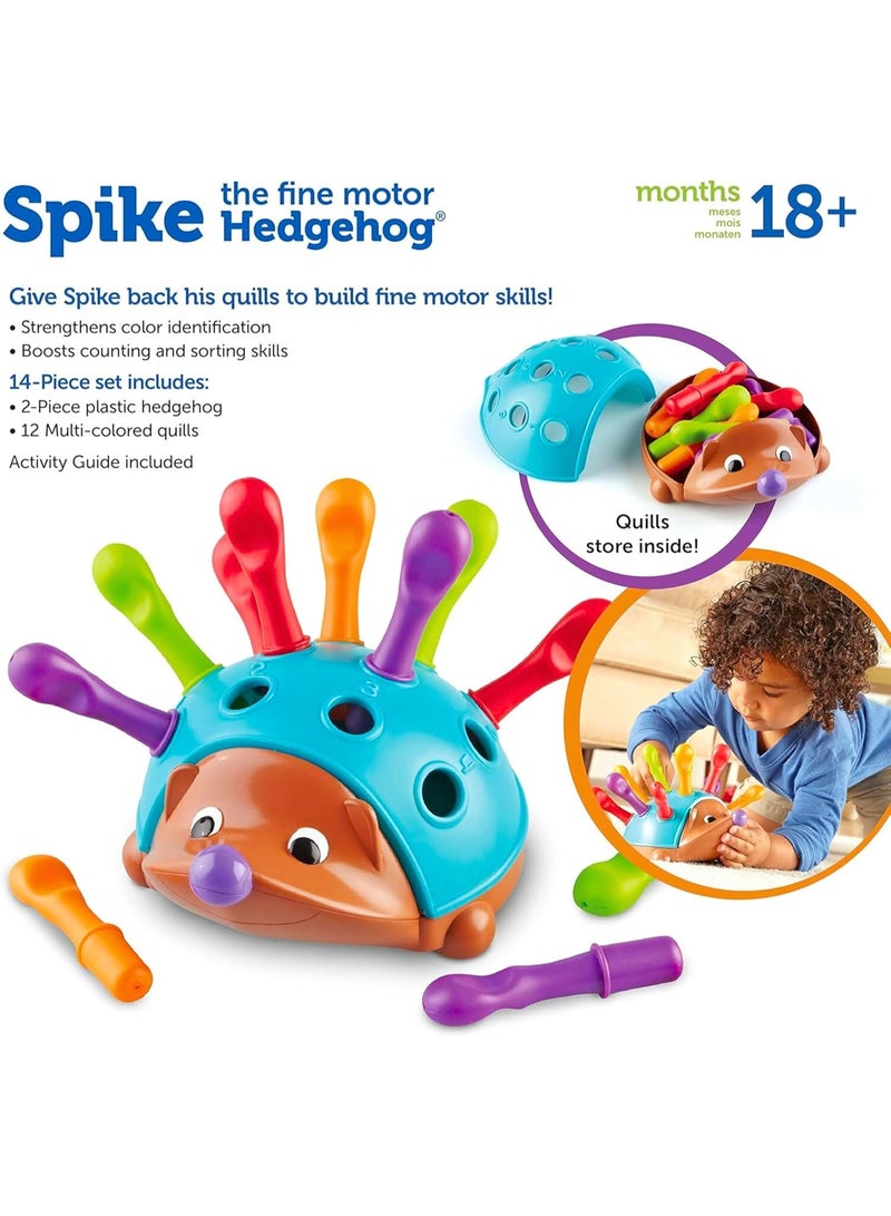 ST ZONE Sensory Fine Motor Hedgehog Toy – Montessori Learning Toy with 12 Spikes for Toddlers (18 Months–3 Years) - Image 5