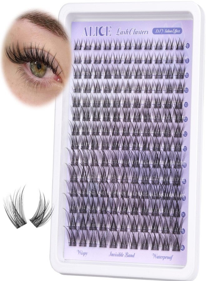 Alice Natural Lash Clusters Wispy Cluster Eyelash Extensions Invisible Band Individual Lashes C-Curly DIY Lash Extension 8-16mm Waterproof Soft Cluster Lashes 168pcs by ALICE - Image 1