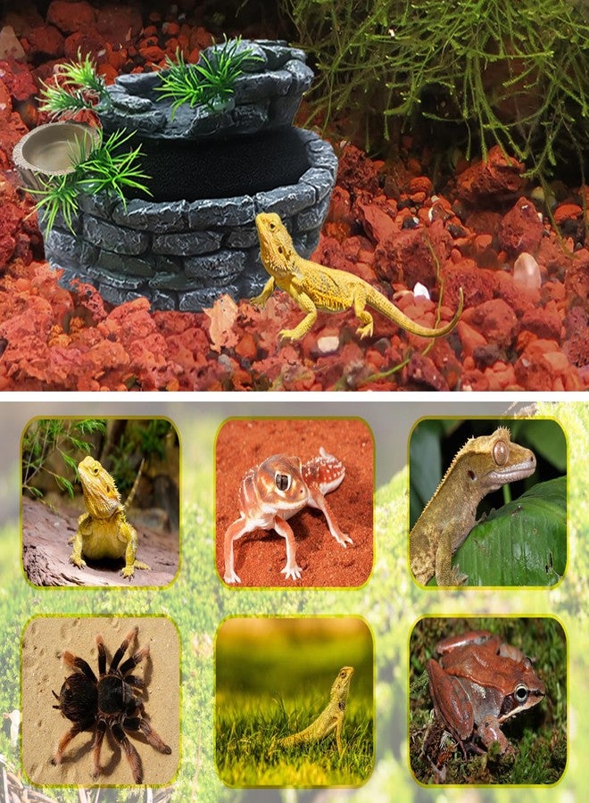 Repticircle 550ML Reptile Water Fountain with Food Dish - Terrarium Drinking Fountain for Bearded Dragon, Gecko, Chameleon, Lizard, Tree Frog & Turtle - Keeps Water Clear, Easy-to-Use Water Dispenser - Image 4
