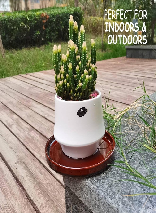 Fzfeiyy Ceramic Plant Plate 7 Inch 2 Pack Round Plant Trays for Indoor/Outdoor Use Potted Plates for Holding Water Drops and Soil, Ceramic Drain Tray for Plant Pot - Image 2