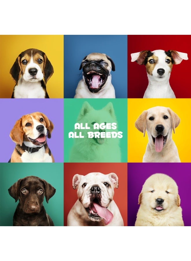 Oimmal 60Pcs Probiotics for Dogs 132G, Pre & Probiotic Digestive Treats for Dog with Pumpkin and Flaxseed Powder Support Gut Health, Itchy Ears, Dog Probiotics Treats for All Dogs 60 Soft Chews / Duck Flavor - Image 3